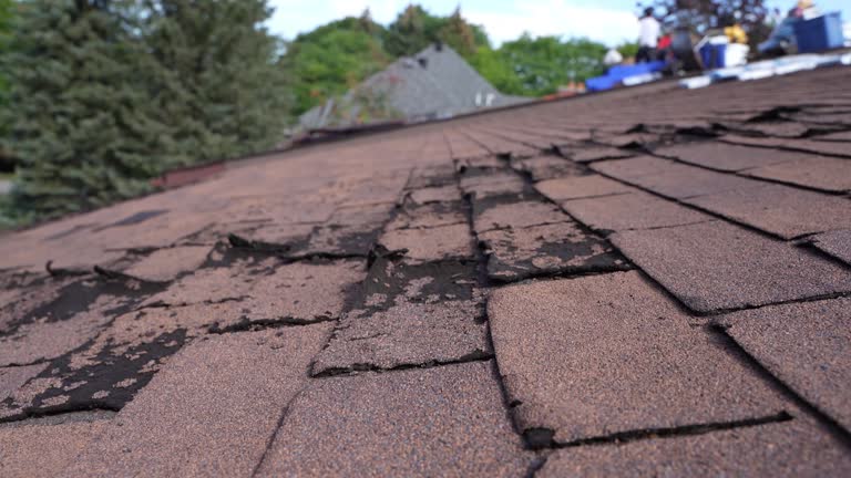 Best Commercial Roofing Services  in Green Valley, CA