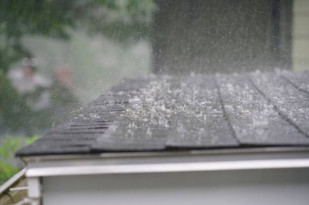 Best Roof Insulation Installation  in Green Valley, CA